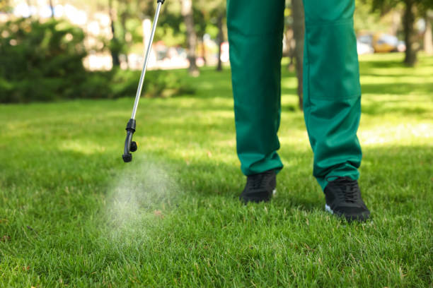 Best Affordable Pest Control Services  in Chattahoochee Hills, GA