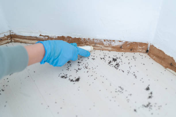 Best Pest Prevention Services  in Chattahoochee Hills, GA