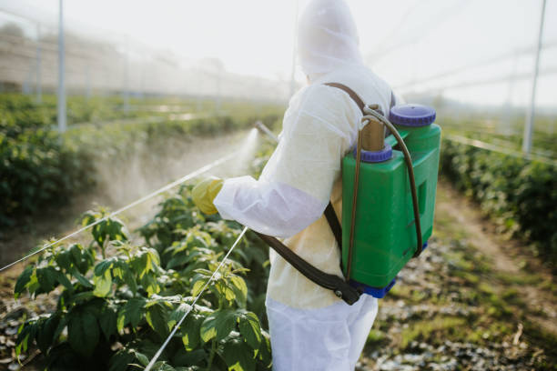 Best Best Pest Control Companies  in Chattahoochee Hills, GA